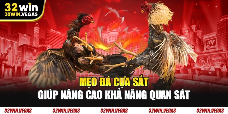 Mẹo đá cựa sắt giúp nâng cao khả năng quan sát